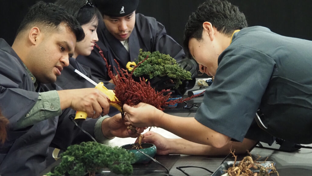 Bonsai Making