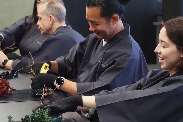 Bonsai Making image 17