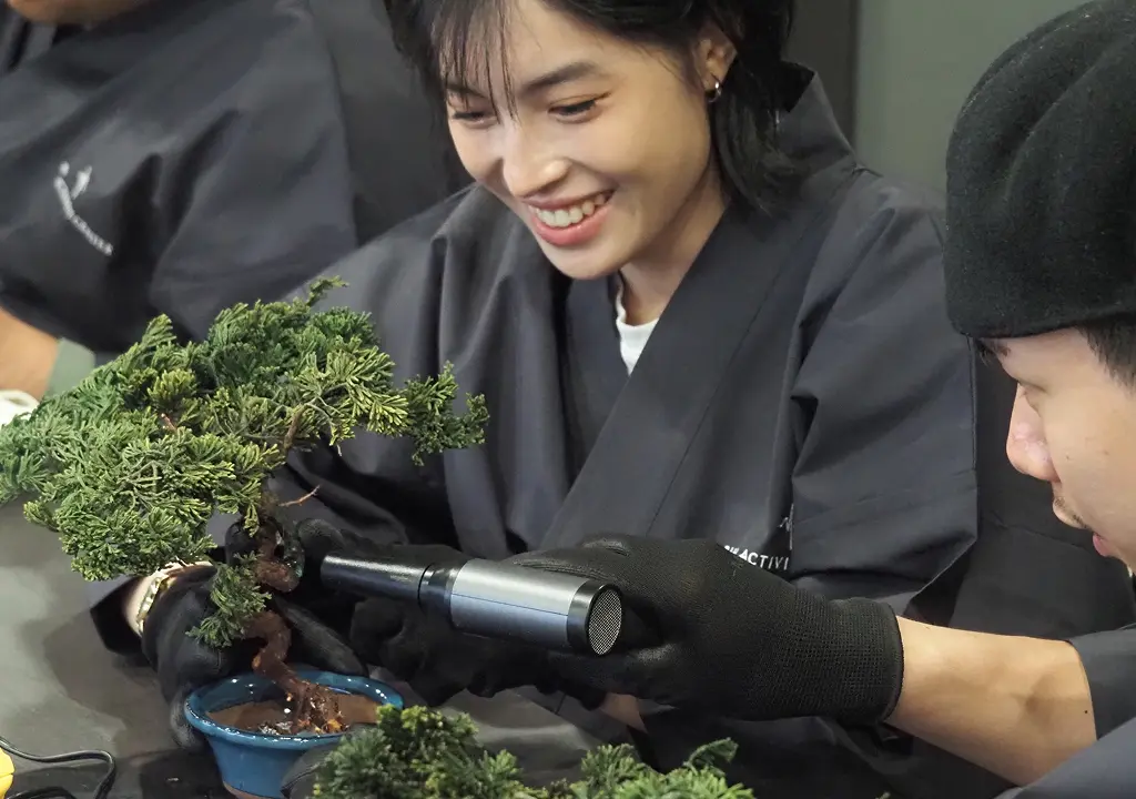 Bonsai Making